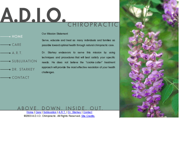 www.adio-chiropractic.com