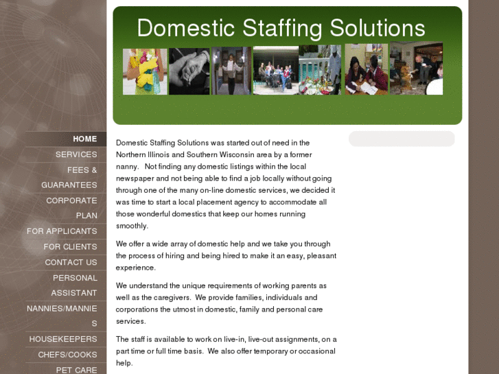 www.domesticstaffingsolutions.com