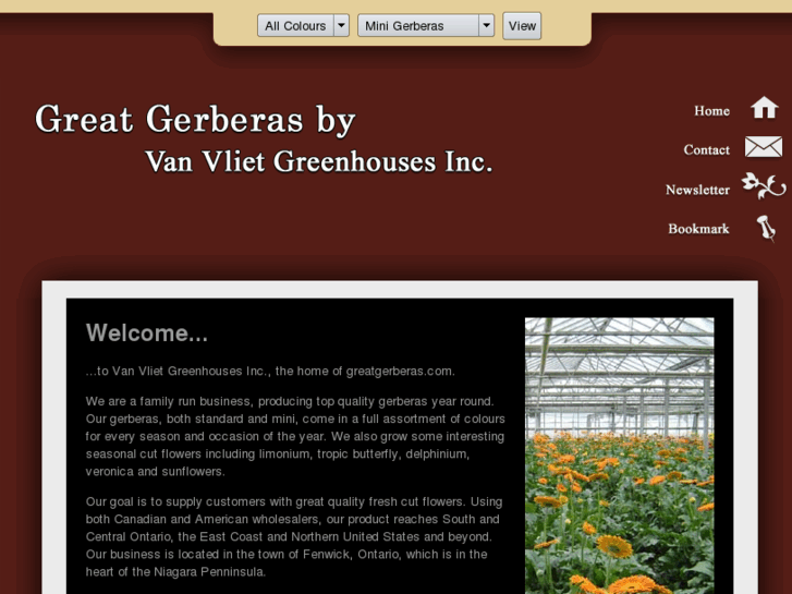 www.greatgerberas.com