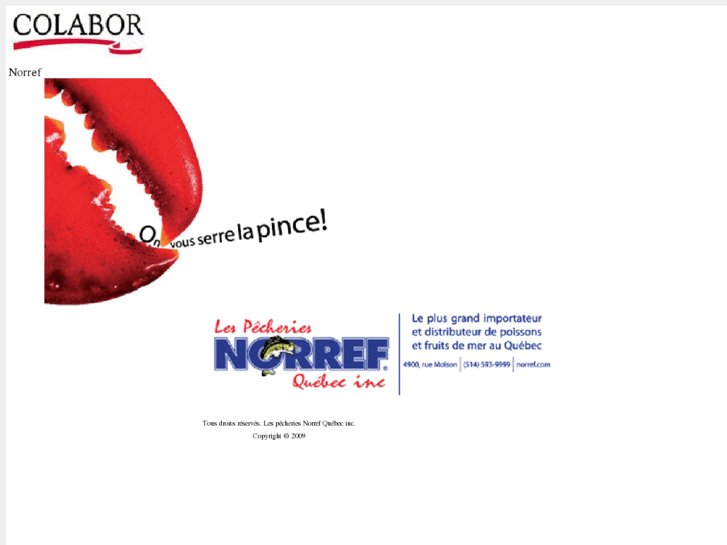 www.norref.com