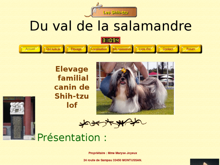 www.shihtzu-duvaldelasalamandre.com