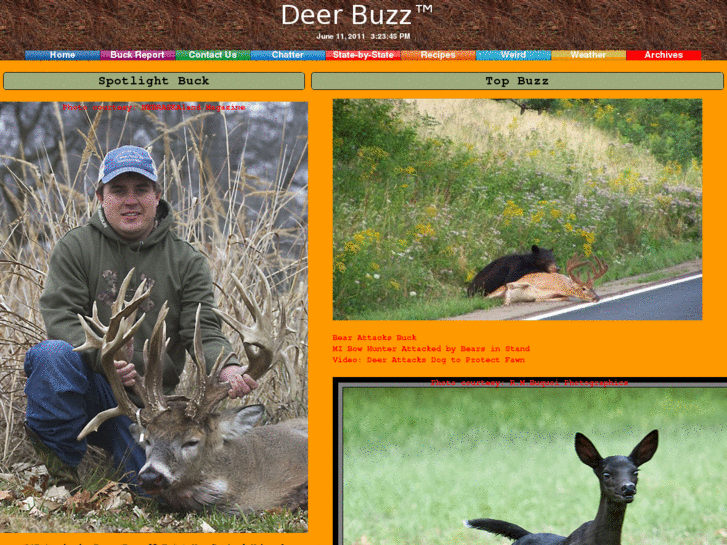 www.buckbuzz.net