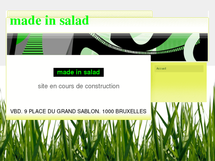 www.madeinsalad.com