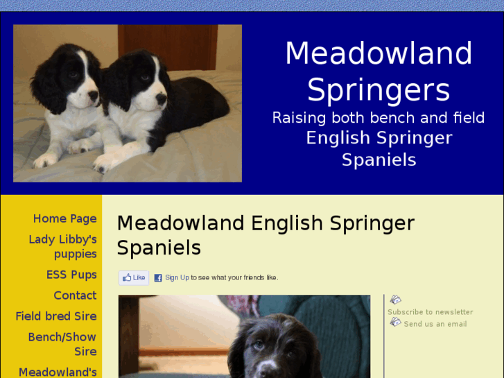 www.meadowlandspringers.com