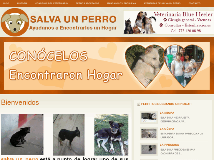 www.salvaunperro.com