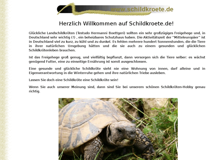 www.schildkroete.de