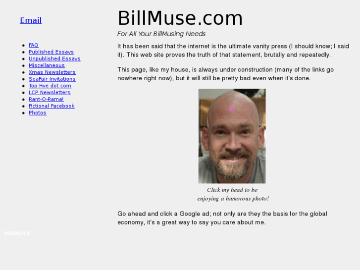 www.billmuse.com