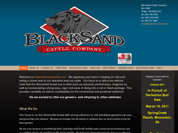 www.blacksandcattle.com