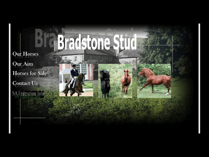 www.bradstonestud.com