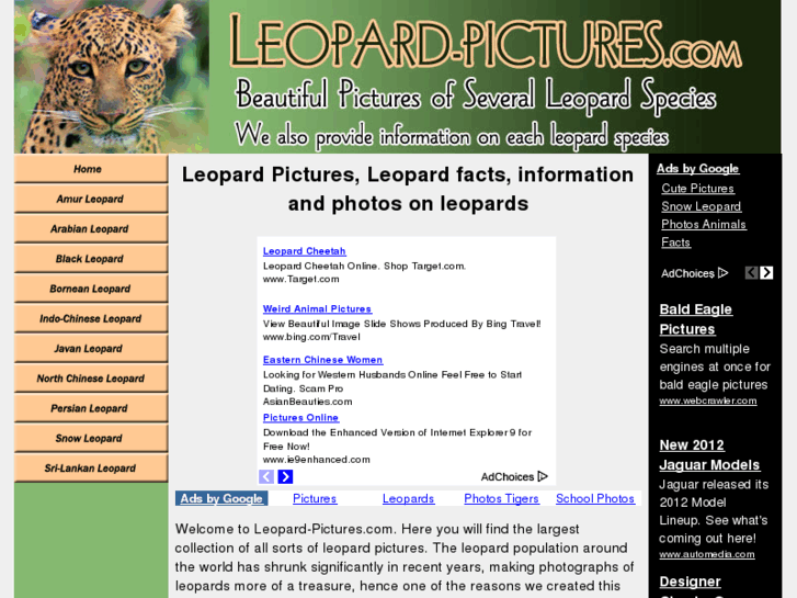 www.leopard-pictures.com