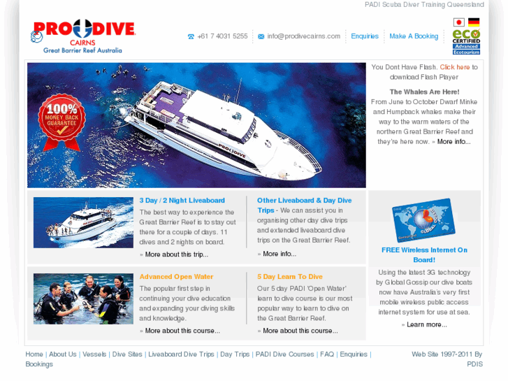 www.prodive-cairns.com