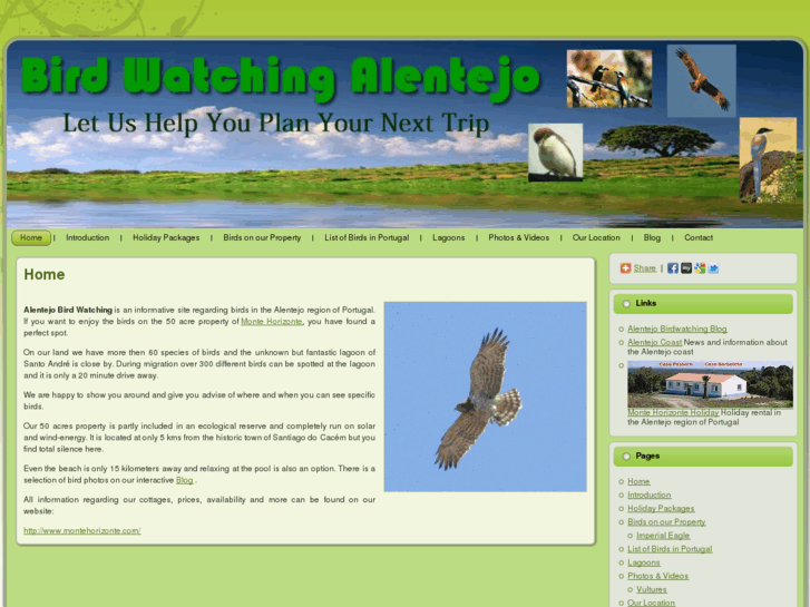 www.birdwatchingalentejo.com