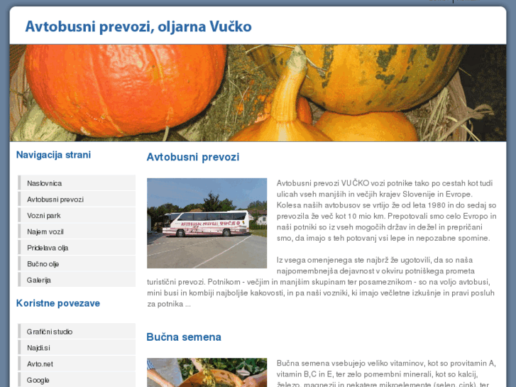 www.bus-vucko.com
