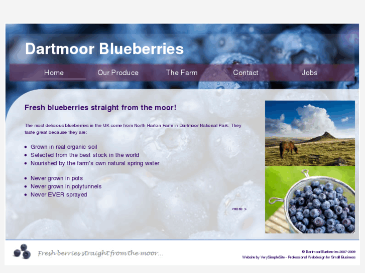 www.dartmoorblueberries.com