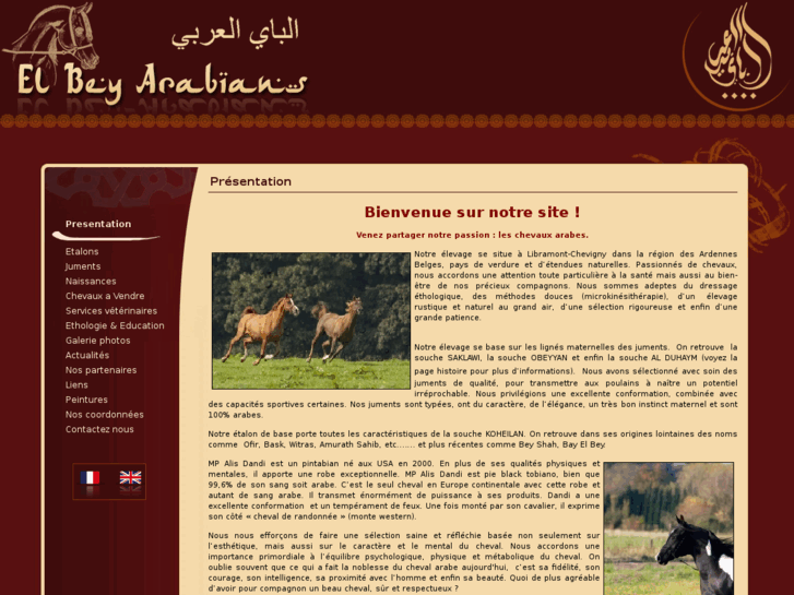 www.elbey-arabians.com