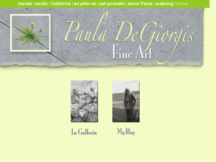 www.pauladegiorgis.com