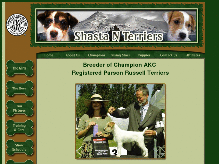 www.shastanterriers.com