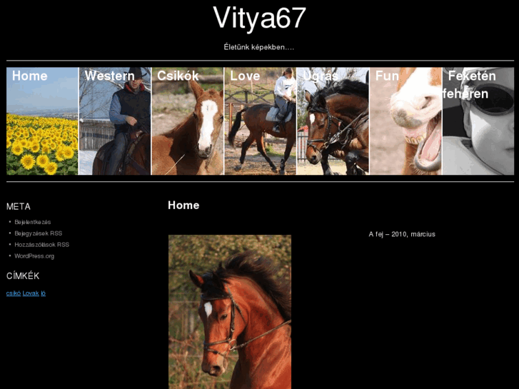 www.vitya67.com