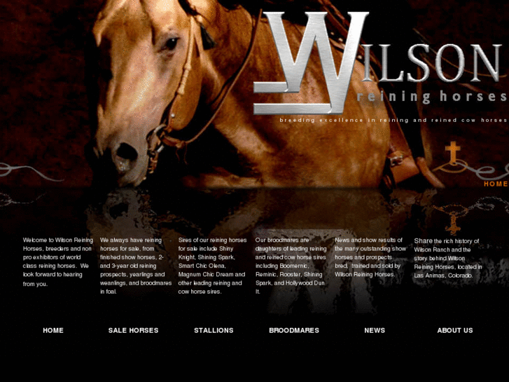 www.wilsonreininghorses.com