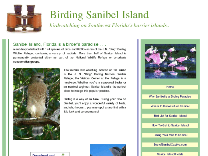 www.birdingsanibel.com