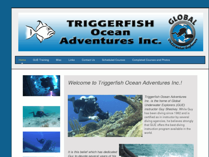 www.divetriggerfish.com