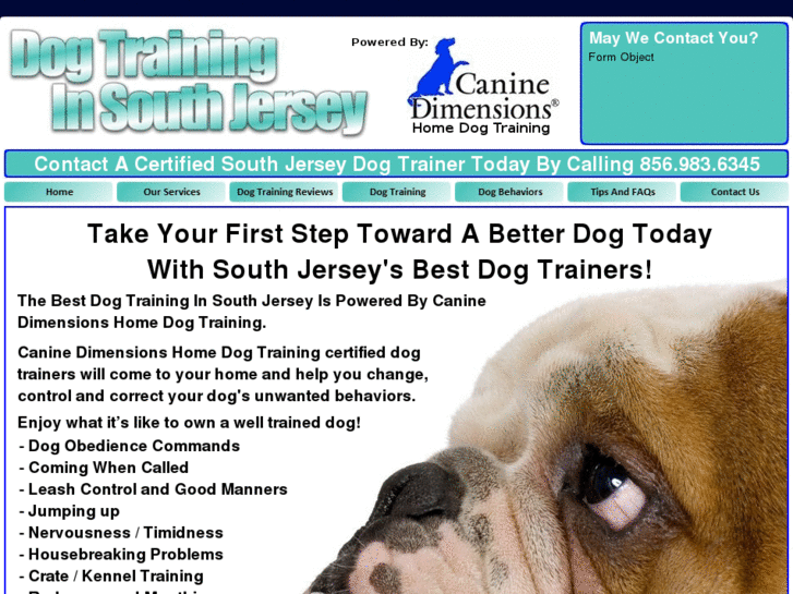 www.dogtraininginsouthjersey.com