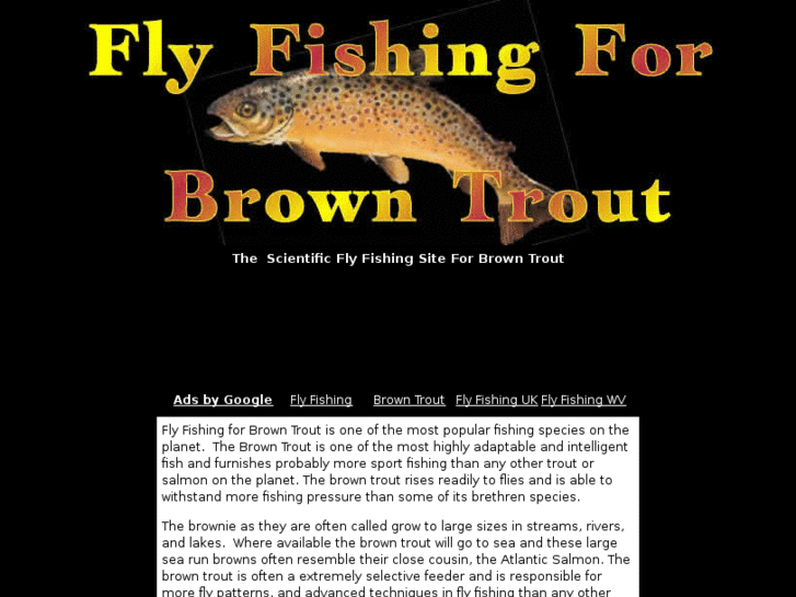 www.flyfishingforbrowntrout.com