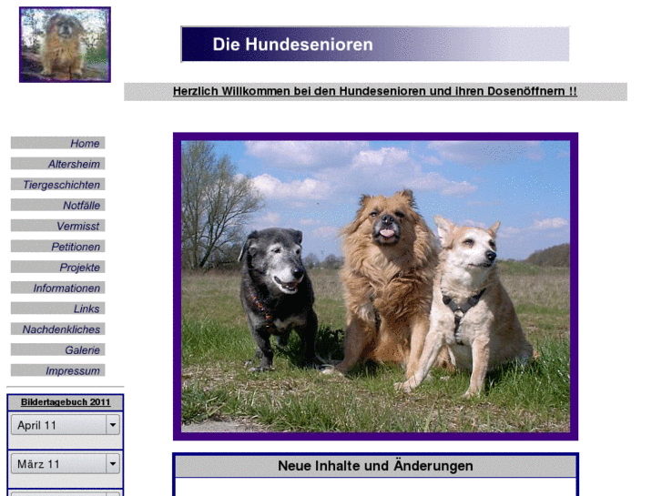 www.hundesenioren.de