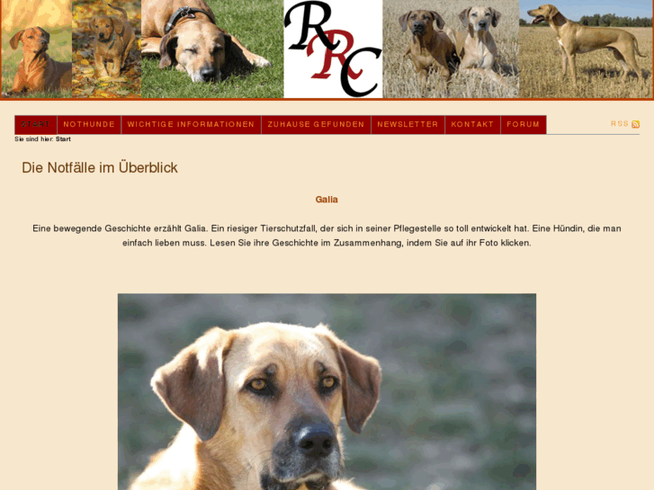 www.ridgebackcare.com