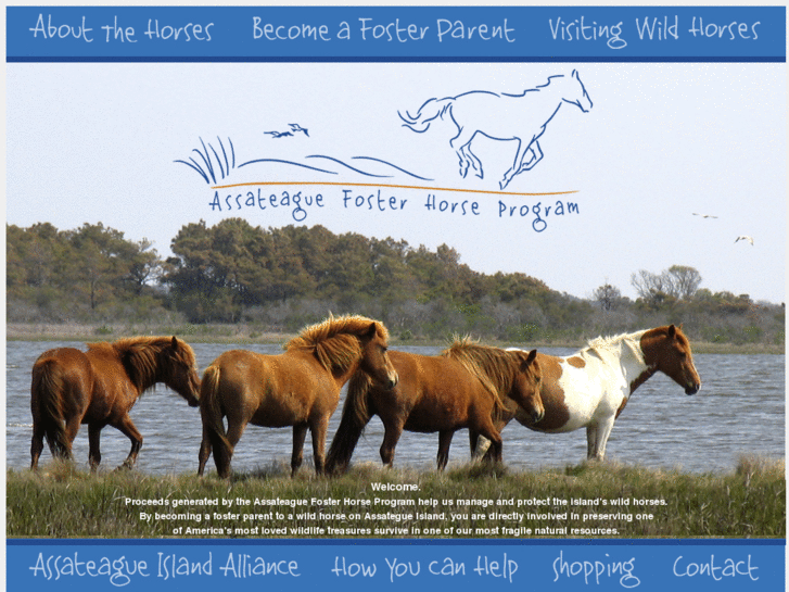 www.assateaguewildhorses.org