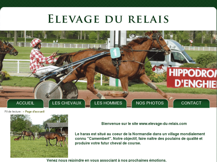 www.elevage-du-relais.com