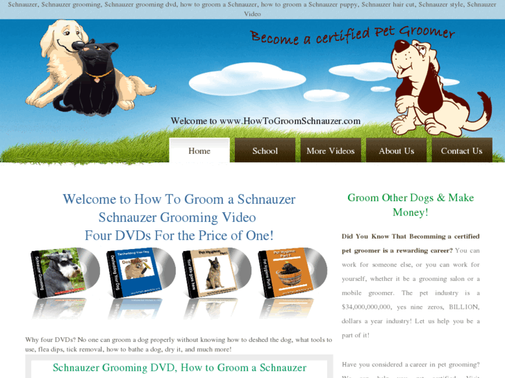 www.howtogroomschnauzer.com