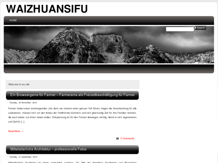 www.waizhuansifu.com