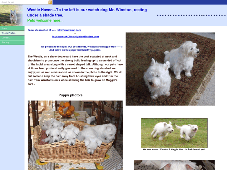 www.akcwesthighlandterriers.com