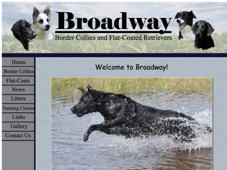 www.broadway-dogs.com