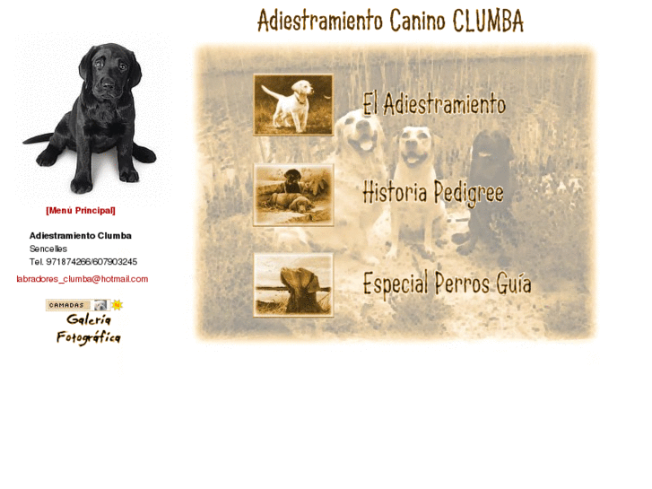 www.labradoresclumba.com