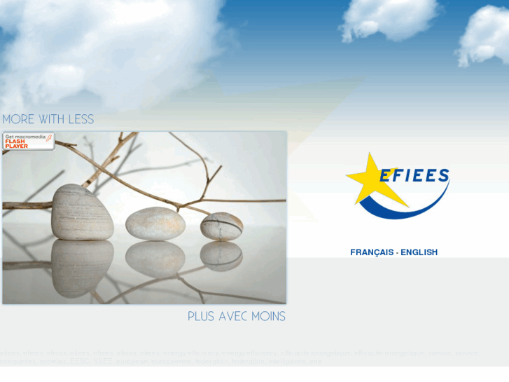 www.efiees.com