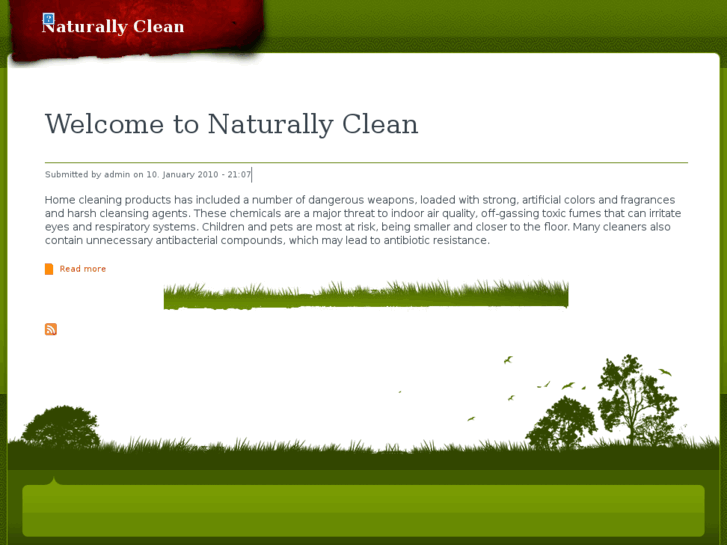 www.naturallyclean.info