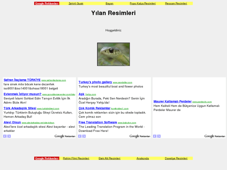 www.yilanresimleri.com