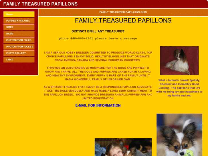 www.familytreasuredpapillons.com