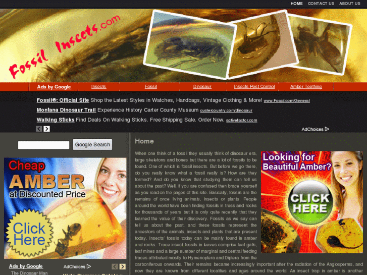 www.fossilinsects.com