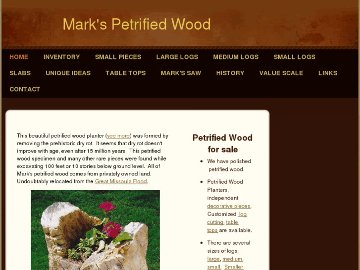 www.markspetrifiedwood.com