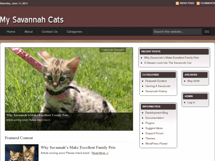 www.mysavannahcat.com