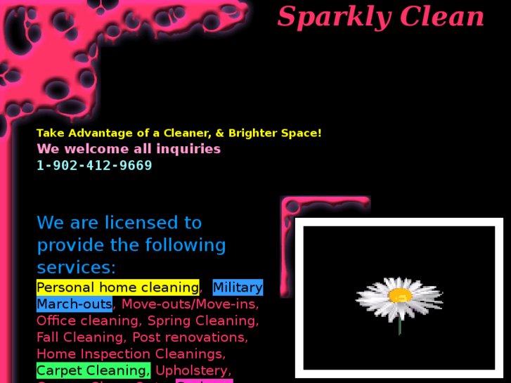 www.sparklyclean.net
