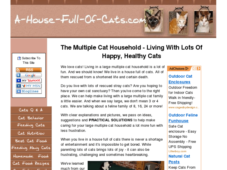 www.a-house-full-of-cats.com