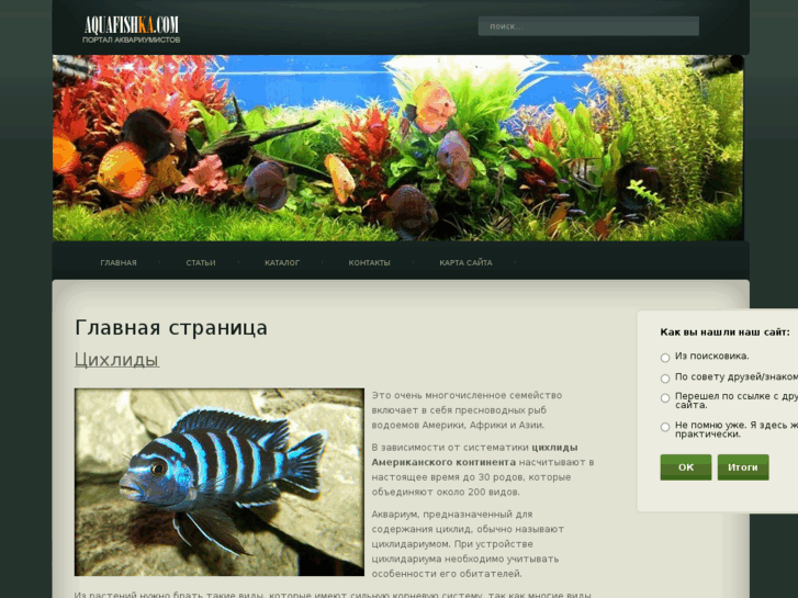 www.aquafishka.com