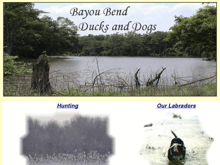 www.bayoubendlabradors.com