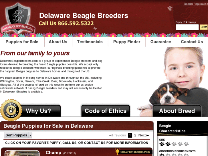 www.delawarebeaglebreeders.com