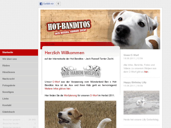 www.hot-banditos.info