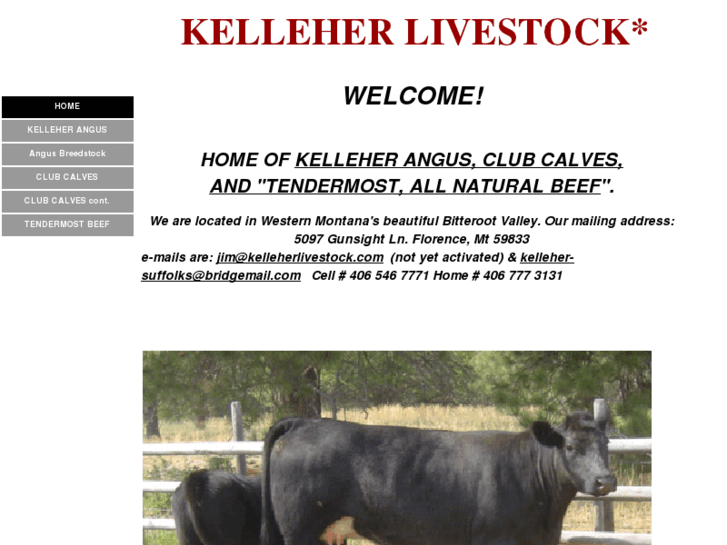 www.kelleherlivestock.com